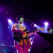 Papa Topo - List pictures