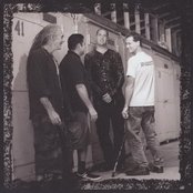 Flipper - List pictures