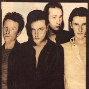 The London Suede - List pictures