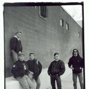 The Bruisers - List pictures