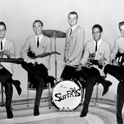 The Surfaris - List pictures