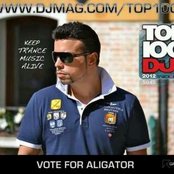 Aligator - List pictures