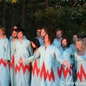 The Polyphonic Spree - List pictures
