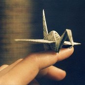 Connor Youngblood - List pictures