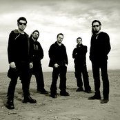 Gossos - List pictures