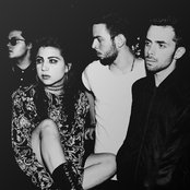 Kitten - List pictures