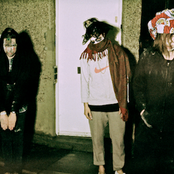 Is Tropical - List pictures