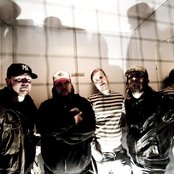 Dozer - List pictures