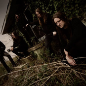 Daylight Dies - List pictures