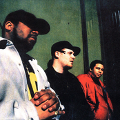 Company Flow - List pictures