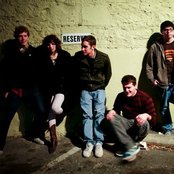 A Giant Dog - List pictures