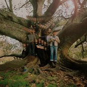 The Phoenix Foundation - List pictures