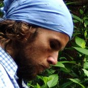 Mishka - List pictures