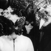 Pram - List pictures