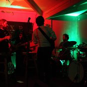 Fond Of Tigers - List pictures