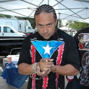 Chino Xl - List pictures