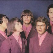 The Count Five - List pictures