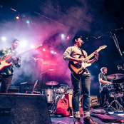 Blackbird Blackbird - List pictures