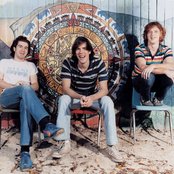 The Whigs - List pictures