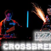 Crossbreed - List pictures
