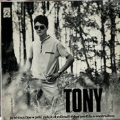 Tony - List pictures