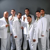 Mazizo Musical - List pictures