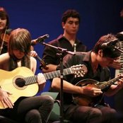 Mother Falcon - List pictures