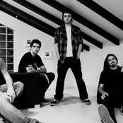 Wayne - List pictures