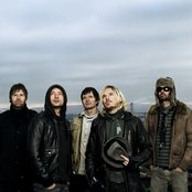 Lovebugs - List pictures