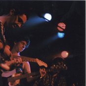 Tigercats - List pictures