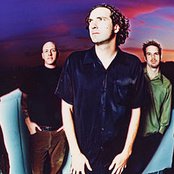 Sense Field - List pictures