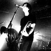 Year Of The Rabbit - List pictures