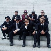 Desorden Publico - List pictures