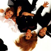 Flans - List pictures