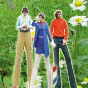 Dressy Bessy - List pictures