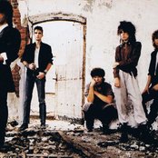 Face To Face - List pictures