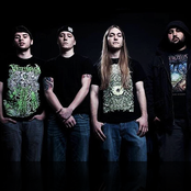 Rings Of Saturn - List pictures