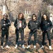 Moby Dick - List pictures