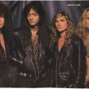 White Lion - List pictures