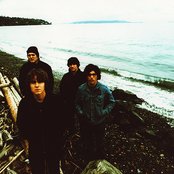 The Blamed - List pictures