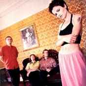 Cranberries - List pictures