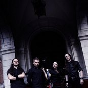 Darzamat - List pictures