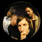 Moss - List pictures