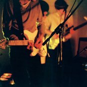 Mr Twin Sister - List pictures