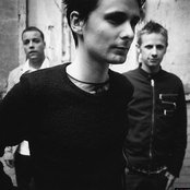Muse - List pictures