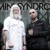 Gemini Syndrome - List pictures