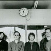 Red Red Meat - List pictures