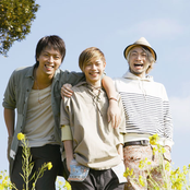 Sonar Pocket - List pictures