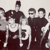 The Belle Stars - List pictures