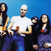 A Perfect Circle - List pictures